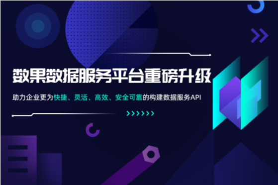 数果数据服务平台重磅升级,助力企业更为快捷、灵活、高效、安全可靠的构建数据服务API 