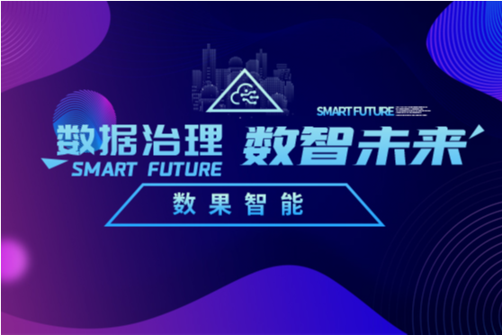 数果智能|数据治理，数智未来 