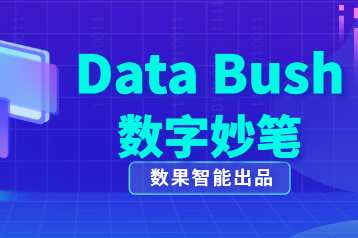 数果ABI产品-数字妙笔 Data Bush 