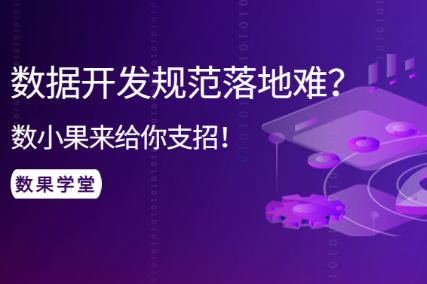 数果学堂｜数据开发规范落地难？数小果来给你支招！ 