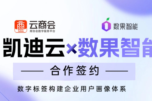 数果智能×凯迪云 | 助力云商会搭建标签画像体系，赋能用户精细化运营 