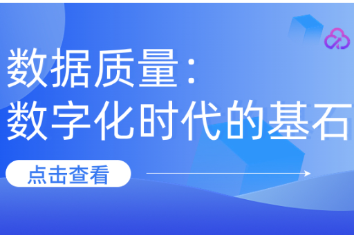 数据质量：数字化时代的基石 