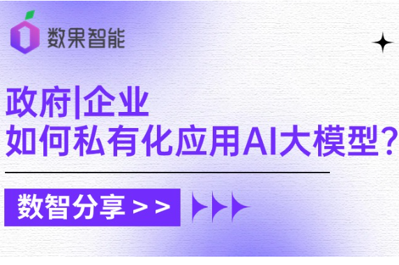 数智分享 | 政府和企业如何私有化应用AI大模型，培育内部新质生产力？ 