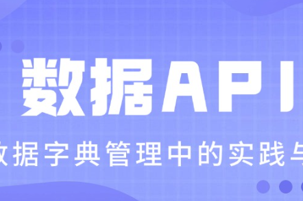 数据API在主数据字典管理中的实践与应用 